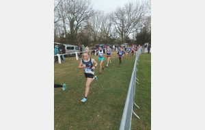 CROSS DE LA CITE, dimanche 30 novembre