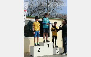 CROSS DE LIMOUX