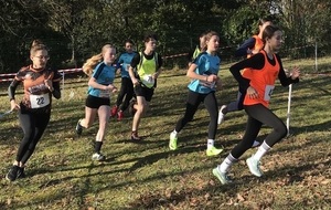 Cross de Castelnaudary - Championnat de l'Aude